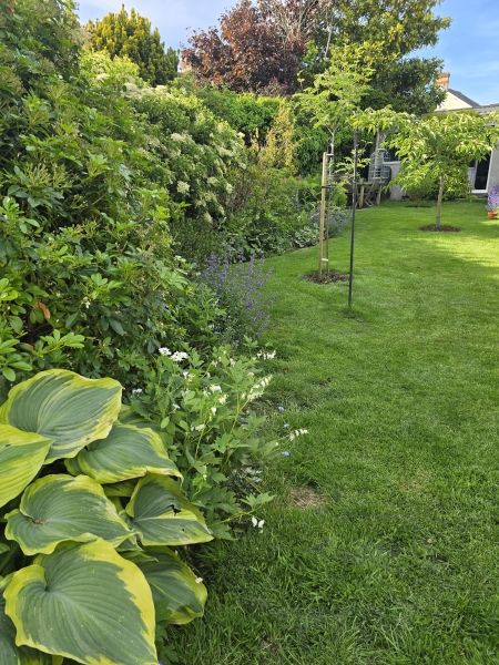 88 Grove Road